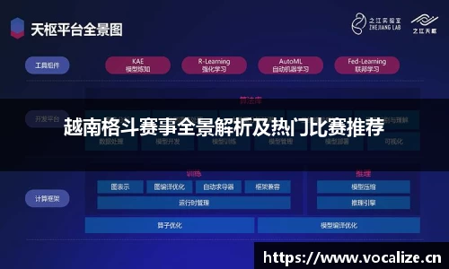 越南格斗赛事全景解析及热门比赛推荐