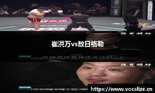 崔洪万vs敖日格勒