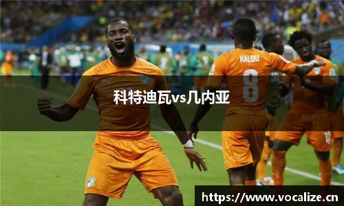 科特迪瓦vs几内亚