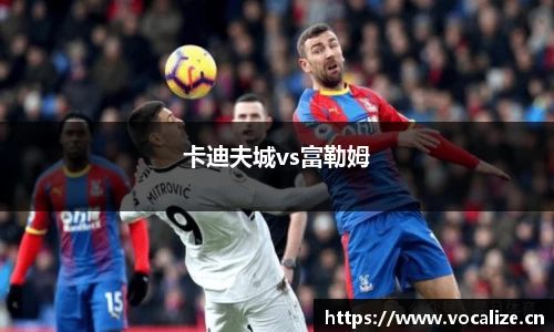 卡迪夫城vs富勒姆