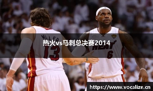热火vs马刺总决赛2014