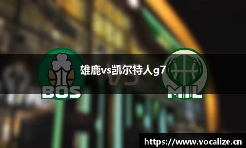 雄鹿vs凯尔特人g7