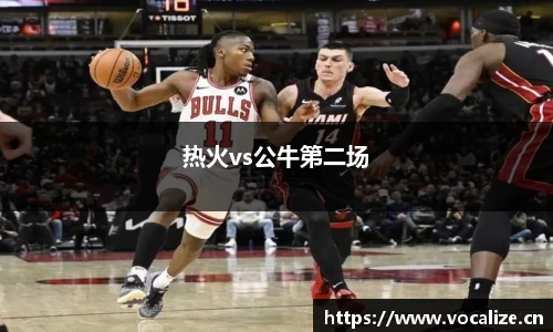 热火vs公牛第二场