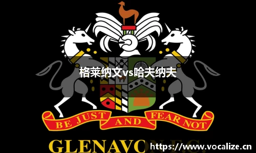 格莱纳文vs哈夫纳夫