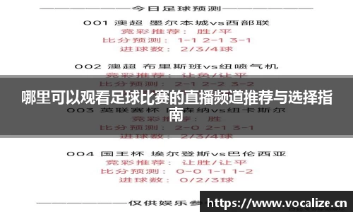 哪里可以观看足球比赛的直播频道推荐与选择指南
