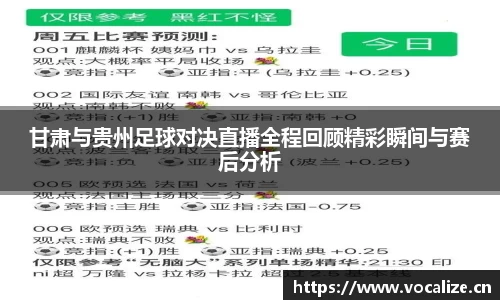 甘肃与贵州足球对决直播全程回顾精彩瞬间与赛后分析