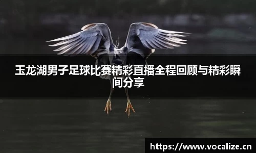 玉龙湖男子足球比赛精彩直播全程回顾与精彩瞬间分享