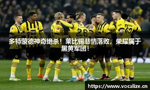 多特蒙德神奇绝杀！莱比锡悲情落败，荣耀属于黑黄军团！