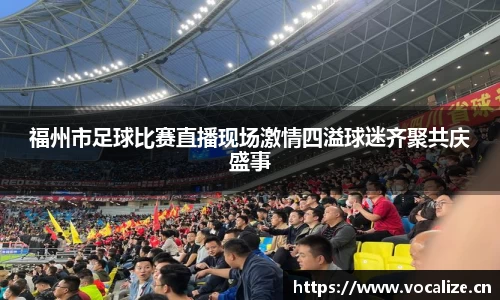 福州市足球比赛直播现场激情四溢球迷齐聚共庆盛事