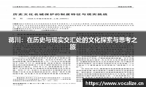 蒋川：在历史与现实交汇处的文化探索与思考之旅